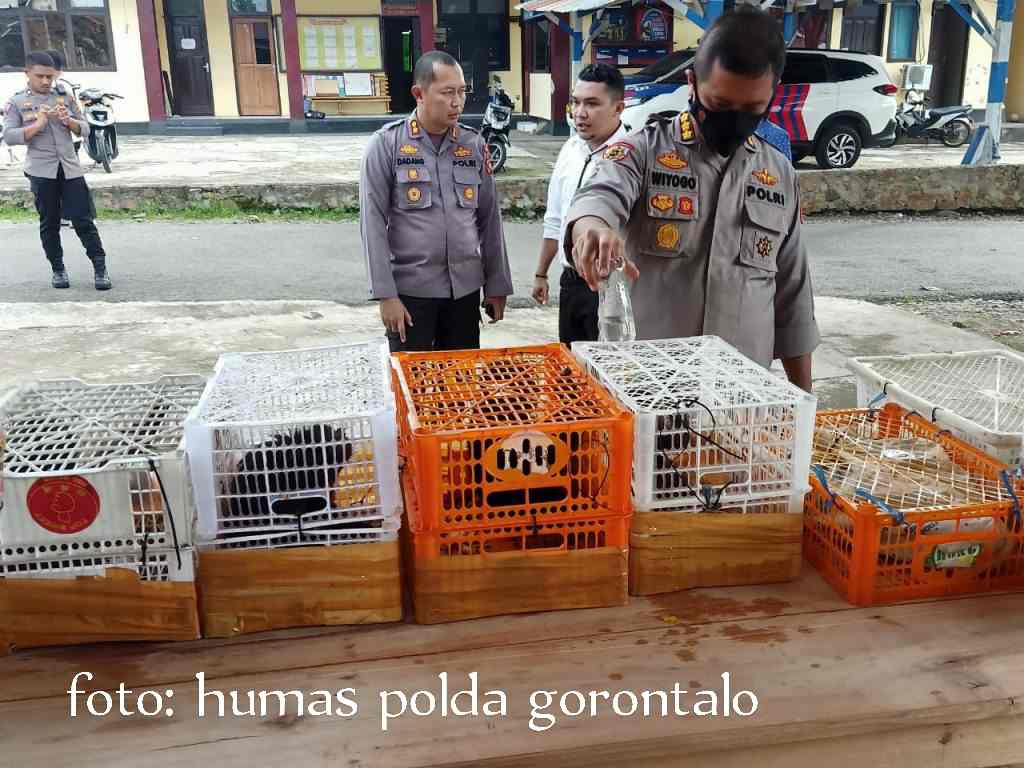 IMG-20220601-WA0018-1024x768_1