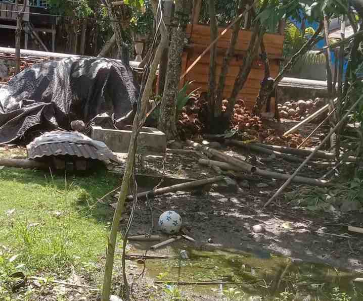 IMG-20220625-WA0057_1