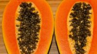 98651-ilustrasi-buah-pepayapiqsels (1)